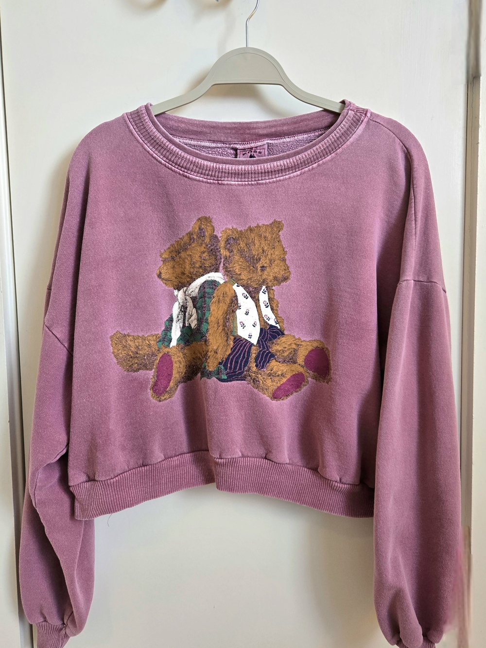 Cropped Mauve Teddy Graphic Sweatshirt